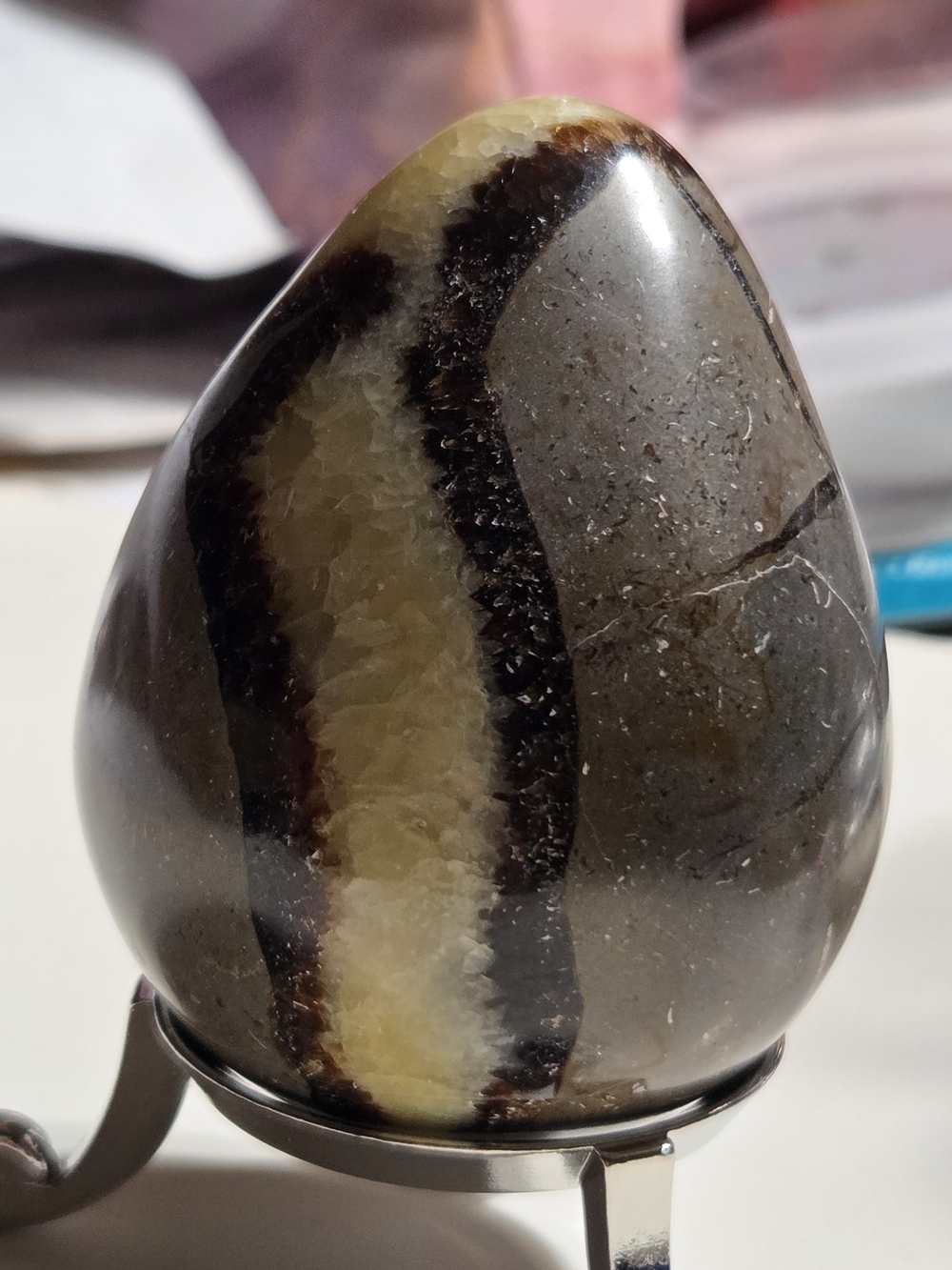 Polished Septarian Calcite "Dragon Stone" Egg - Picture 8 of 14